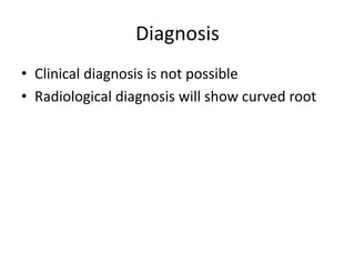 Diagnosis
• Clinical diagnosis is not possible
• Radiological diagnosis will show curved root
 