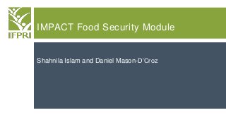 IMPACT Food Security Module
Shahnila Islam and Daniel Mason-D’Croz
 