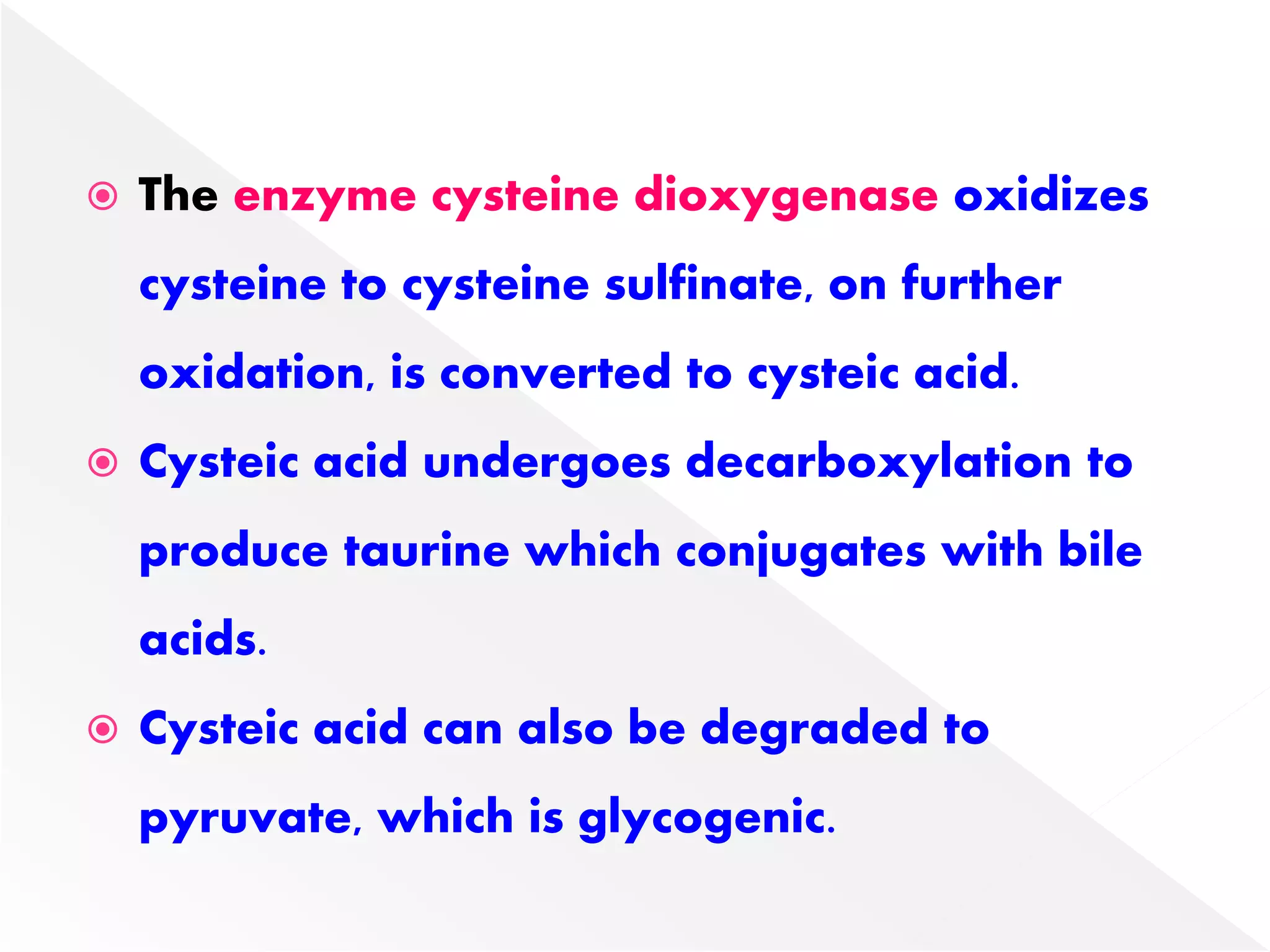  The enzyme cysteine dioxygenase oxidizes
cysteine to cysteine sulfinate, on further
oxidation, is converted to cysteic acid.
 Cysteic acid undergoes decarboxylation to
produce taurine which conjugates with bile
acids.
 Cysteic acid can also be degraded to
pyruvate, which is glycogenic.
 