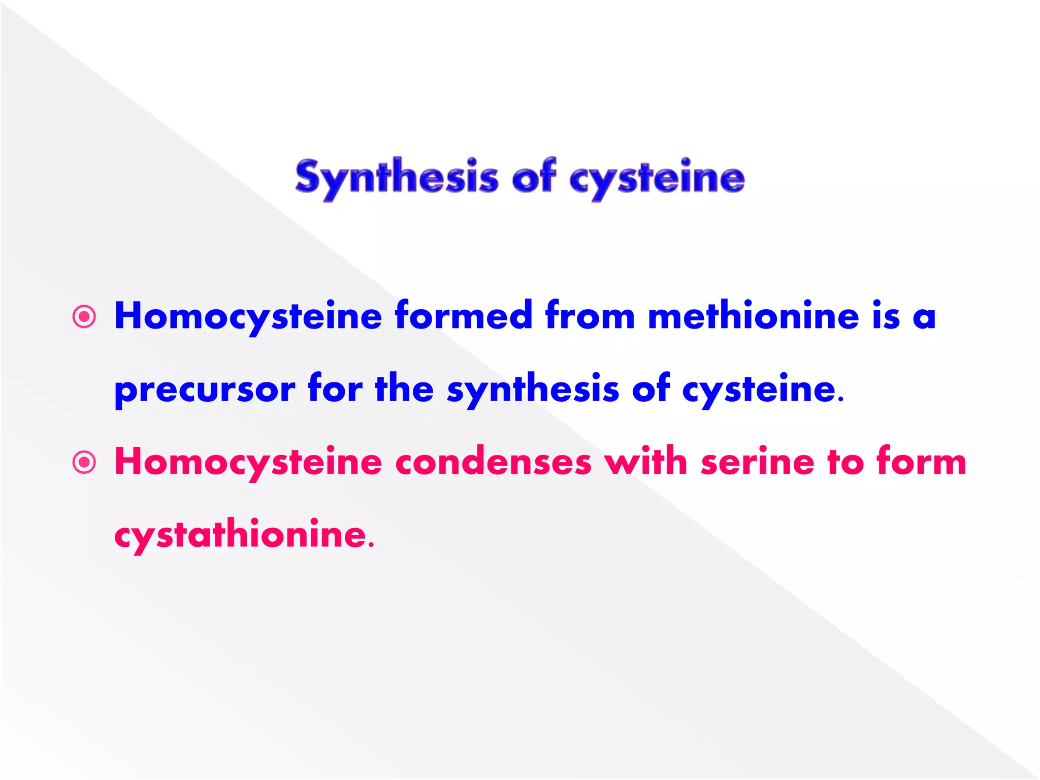  Homocysteine formed from methionine is a
precursor for the synthesis of cysteine.
 Homocysteine condenses with serine to form
cystathionine.
 
