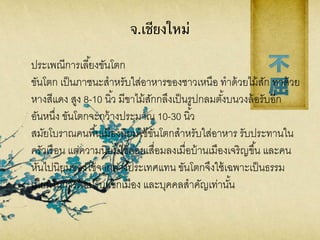 จ.เชียงใหม่
ประเพณีการเลี้ยงขันโตก
ขันโตก เป็นภาชนะสาหรับใส่อาหารของชาวเหนือ ทาด้วยไม้สัก ทาด้วย
หางสีแดง สูง 8-10 นิ้ว มีขาไม้สักกลึงเป็นรูปกลมตั้งบนวงล้อรับอีก
อันหนึ่ง ขันโตกจะกว้างประมาณ 10-30 นิ้ว
สมัยโบราณคนพื้นเมืองนิยมใช้ขันโตกสาหรับใส่อาหาร รับประทานใน
ครัวเรือน แต่ความนิยมใช้ค่อยเสื่อมลงเมื่อบ้านเมืองเจริญขึ้น และคน
หันไปนิยมของใช้จากต่างประเทศแทน ขันโตกจึงใช้เฉพาะเป็นธรรม
เนียมในการต้อนรับแขกเมือง และบุคคลสาคัญเท่านั้น
 