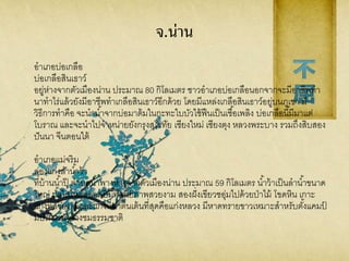 จ.น่าน
อาเภอบ่อเกลือ
บ่อเกลือสินเธาว์
อยู่ห่างจากตัวเมืองน่าน ประมาณ 80 กิโลเมตร ชาวอาเภอบ่อเกลือนอกจากจะมีอาชีพทา
นาทาไร่แล้วยังมีอาชีพทาเกลือสินเธาว์อีกด้วย โดยมีแหล่งเกลือสินเธาว์อยู่บนภูเขา มี
วิธีการทาคือ จะนาน้าจากบ่อมาต้มในกะทะใบบัวใช้ฟืนเป็นเชื้อเพลิง บ่อเกลือนี้มีมาแต่
โบราณ และจะนาไปจาหน่ายยังกรุงสุโขทัย เชียงใหม่ เชียงตุง หลวงพระบาง รวมถึงสิบสอง
ปันนา จีนตอนใต้
อาเภอแม่จริม
ล่องแก่งลาน้าว้า
ที่บ้านน้าปุ๊ ตาบลน้าพางห่างจากตัวเมืองน่าน ประมาณ 59 กิโลเมตร น้าว้าเป็นลาน้าขนาด
ใหญ่ น้าใสไหลตลอดปีมีทัศนียภาพสวยงาม สองฝั่งเขียวชอุ่มไปด้วยป่าไม้ โขดหิน เกาะ
แก่งที่สวยงามและแก่งที่น่าตื่นเต้นที่สุดคือแก่งหลวง มีหาดทรายขาวเหมาะสาหรับตั้งแคมป์
มีบริการนั่งช้างชมธรรมชาติ
 