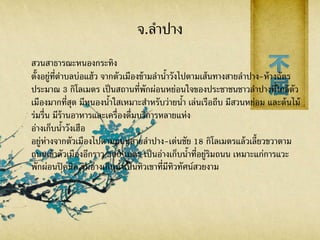 จ.ลาปาง
สวนสาธารณะหนองกระทิง
ตั้งอยู่ที่ตาบลบ่อแฮ้ว จากตัวเมืองข้ามลาน้าวังไปตามเส้นทางสายลาปาง-ห้างฉัตร
ประมาณ 3 กิโลเมตร เป็นสถานที่พักผ่อนหย่อนใจของประชาชนชาวลาปางที่ใกล้ตัว
เมืองมากที่สุด มีหนองน้าใสเหมาะสาหรับว่ายน้า เล่นเรือถีบ มีสวนหย่อม และต้นไม้
ร่มรื่น มีร้านอาหารและเครื่องดื่มบริการหลายแห่ง
อ่างเก็บน้าวังเฮือ
อยู่ห่างจากตัวเมืองไปตามถนนสายลาปาง-เด่นชัย 18 กิโลเมตรแล้วเลี้ยวขวาตาม
ถนนเข้าตัวเมืองอีกราว 300 เมตร เป็นอ่างเก็บน้าที่อยู่ริมถนน เหมาะแก่การแวะ
พักผ่อนปิคนิค ริมอ่างเก็บน้าเป็นทิวเขาที่มีทิวทัศน์สวยงาม
 