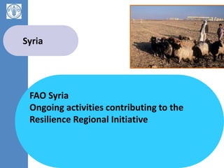 Syria
FAO Syria
Ongoing activities contributing to the
Resilience Regional Initiative
 