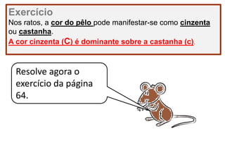 Exercício
Nos ratos, a cor do pêlo pode manifestar-se como cinzenta
ou castanha.
A cor cinzenta (C) é dominante sobre a castanha (c).
Resolve agora o
exercício da página
64.
 