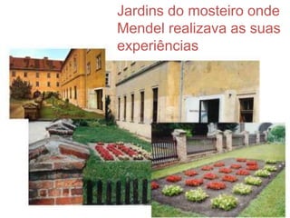 Ciências Naturais 9º ano
Jardins do mosteiro onde
Mendel realizava as suas
experiências
 