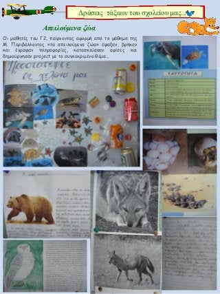 4
Δράσεις τάξεων του σχολείου μας...
Οι μαθητές του Γ2, παίρνοντας αφορμή από το μάθημα της
Μ. Περιβάλλοντος «τα απειλούμενα ζώα» έψαξαν, βρήκαν
και έγραψαν πληροφορίες, κατασκεύασαν αφίσες και
δημιούργησαν project με το συγκεκριμένο θέμα…
Απειλούμενα ζώα
 