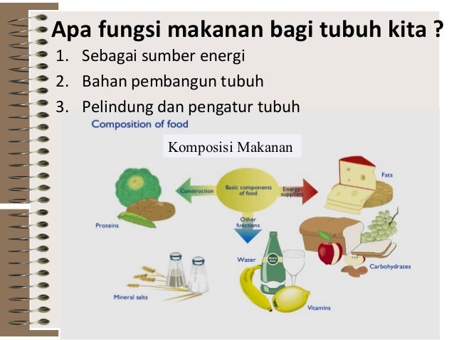 Fungsi Makanan Bagi Makhluk Hidup Goreng