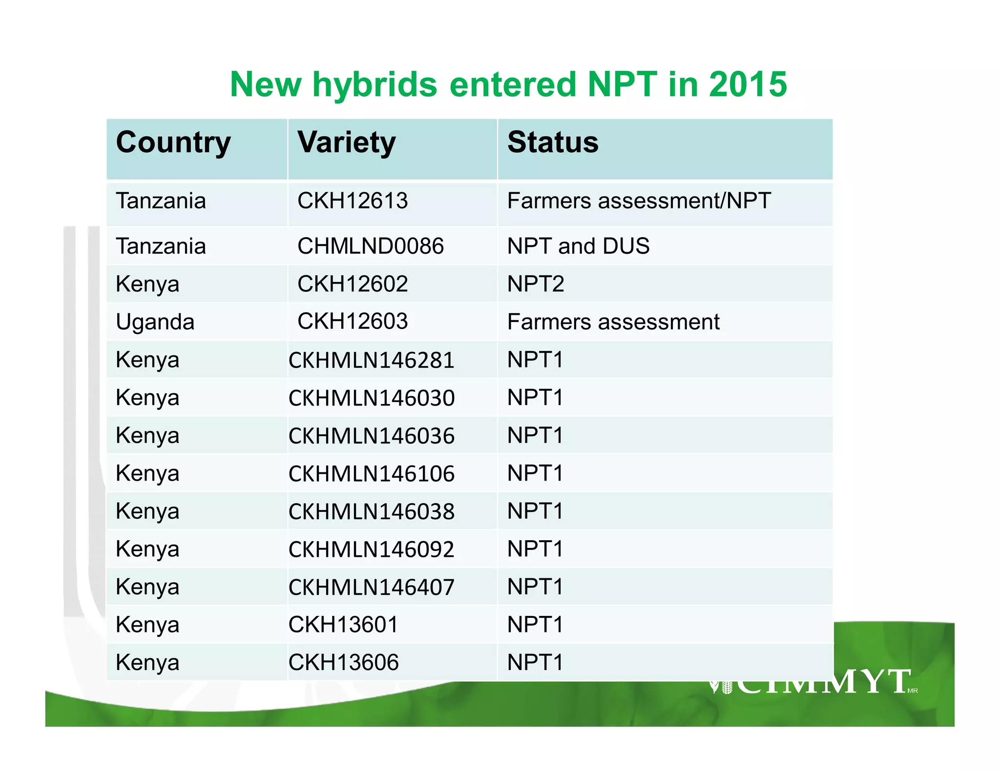 Country Variety Status
Tanzania CKH12613 Farmers assessment/NPT
Tanzania CHMLND0086 NPT and DUS
Kenya CKH12602 NPT2
Uganda CKH12603 Farmers assessment
Kenya CKHMLN146281 NPT1
Kenya CKHMLN146030 NPT1
Kenya CKHMLN146036 NPT1
Kenya CKHMLN146106 NPT1
Kenya CKHMLN146038 NPT1
Kenya CKHMLN146092 NPT1
Kenya CKHMLN146407 NPT1
Kenya CKH13601 NPT1
Kenya CKH13606 NPT1
New hybrids entered NPT in 2015
 