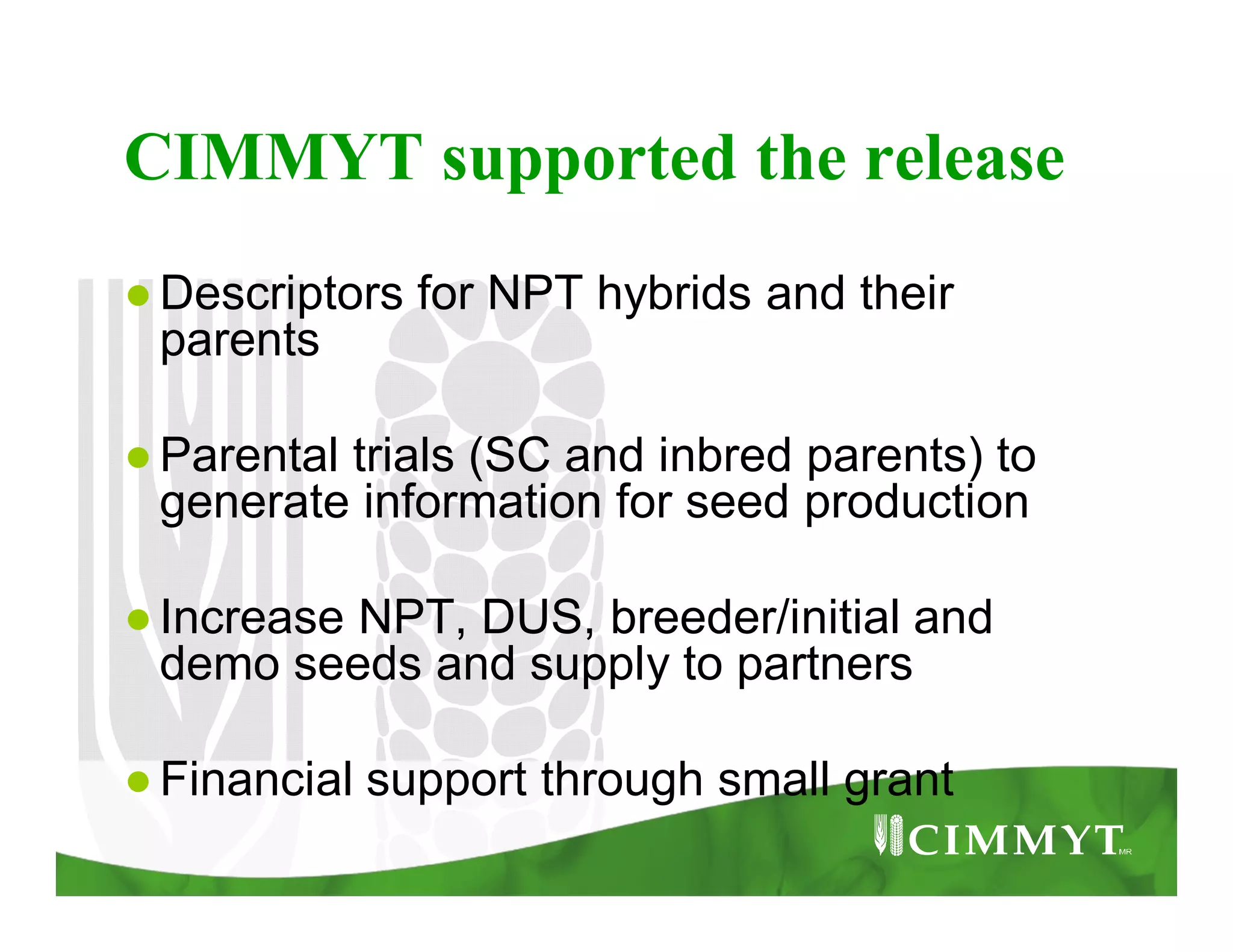 CIMMYT supported the release
●Descriptors for NPT hybrids and their
parents
●Parental trials (SC and inbred parents) to
generate information for seed production
●Increase NPT, DUS, breeder/initial and
demo seeds and supply to partners
●Financial support through small grant
 