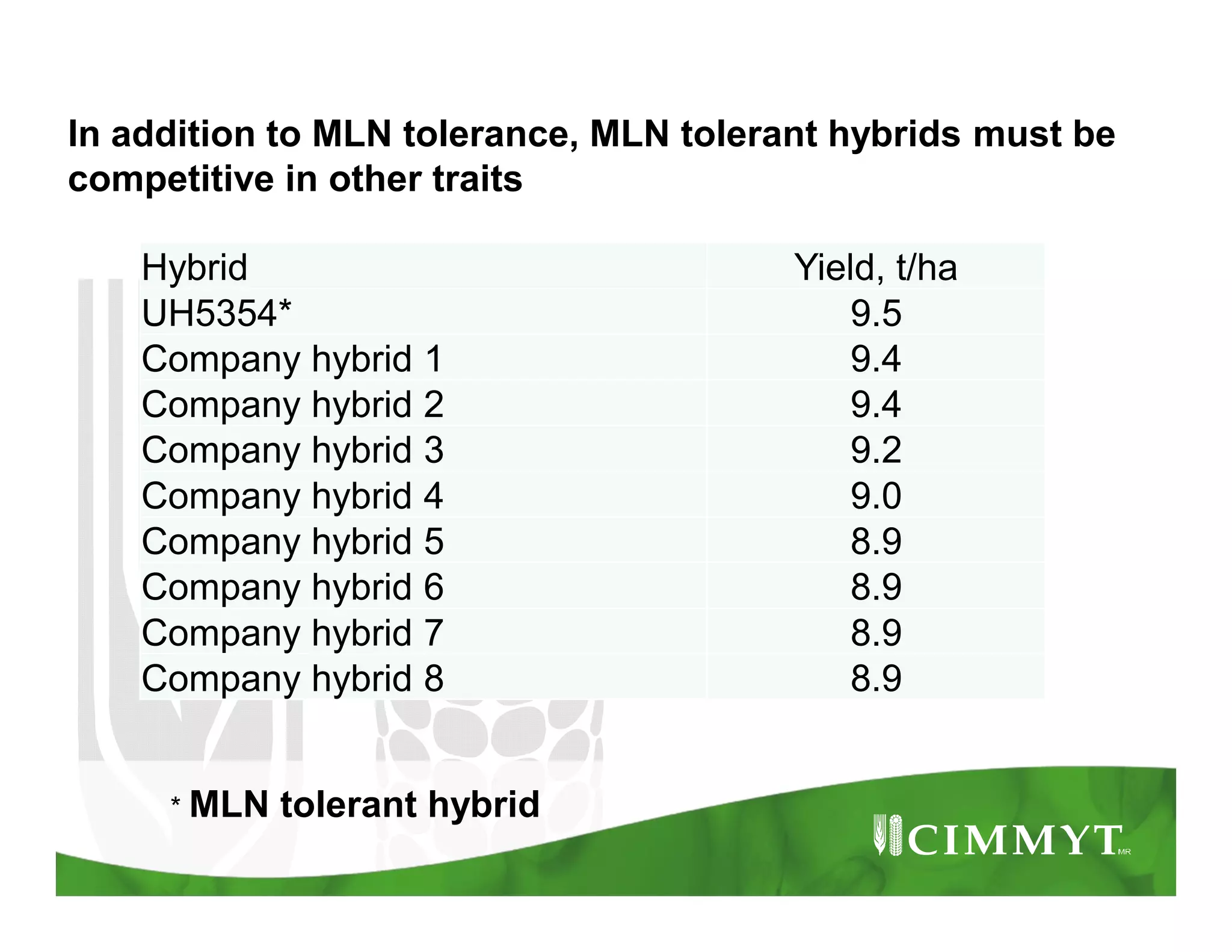 Hybrid Yield, t/ha
UH5354* 9.5
Company hybrid 1 9.4
Company hybrid 2 9.4
Company hybrid 3 9.2
Company hybrid 4 9.0
Company hybrid 5 8.9
Company hybrid 6 8.9
Company hybrid 7 8.9
Company hybrid 8 8.9
* MLN tolerant hybrid
In addition to MLN tolerance, MLN tolerant hybrids must be
competitive in other traits
 