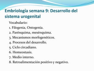 Embriología semana 9: Desarrollo del
sistema urogenital
Vocabulario:
1. Filogenia, Ontogenia.
2. Parénquima, mesénquima.
3. Mecanismos morfogenéticos.
4. Procesos del desarrollo.
5. Ciclo circadiano.
6. Homeostasis.
7. Medio interno.
8. Retroalimentación positivo y negativo.
 