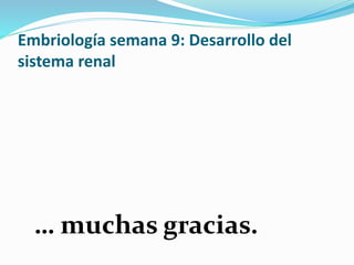 Embriología semana 9: Desarrollo del
sistema renal
… muchas gracias.
 