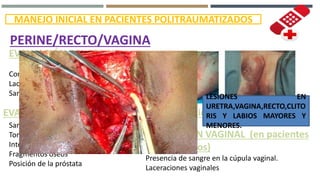 MANEJO INICIAL EN PACIENTES POLITRAUMATIZADOS
PERINE/RECTO/VAGINA
EVALUACIÓN DEL PERINE
Contusiones y hematomas
Laceraciones
Sangrado uretral
EVALUACIÓN DEL RECTO en pacientes seleccionados
Sangre rectal
Tono del esfínter anal
Integridad de la pared rectal
Fragmentos óseos
Posición de la próstata
EVALUACIÓN VAGINAL (en pacientes
seleccionados)
Presencia de sangre en la cúpula vaginal.
Laceraciones vaginales
LESIONES EN
URETRA,VAGINA,RECTO,CLITO
RIS Y LABIOS MAYORES Y
MENORES.
 
