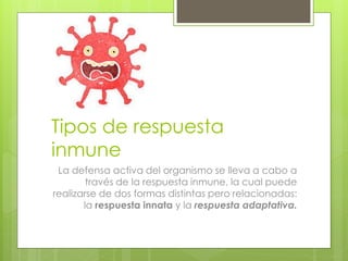 Tipos de respuesta
inmune
La defensa activa del organismo se lleva a cabo a
través de la respuesta inmune, la cual puede
realizarse de dos formas distintas pero relacionadas:
la respuesta innata y la respuesta adaptativa.
 
