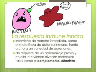 La respuesta inmune innata
 interviene de manera inmediata, como
primera línea de defensa inmune, frente
a una gran variedad de agresiones.
 No requiere de un aprendizaje previo y
en ella intervienen diversas moléculas
tales como el complemento, citocinas
 