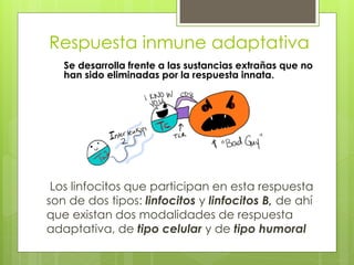 Respuesta inmune adaptativa
Se desarrolla frente a las sustancias extrañas que no
han sido eliminadas por la respuesta innata.
Los linfocitos que participan en esta respuesta
son de dos tipos: linfocitos y linfocitos B, de ahí
que existan dos modalidades de respuesta
adaptativa, de tipo celular y de tipo humoral
 