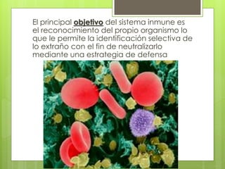 El principal objetivo del sistema inmune es
el reconocimiento del propio organismo lo
que le permite la identificación selectiva de
lo extraño con el fin de neutralizarlo
mediante una estrategia de defensa
 