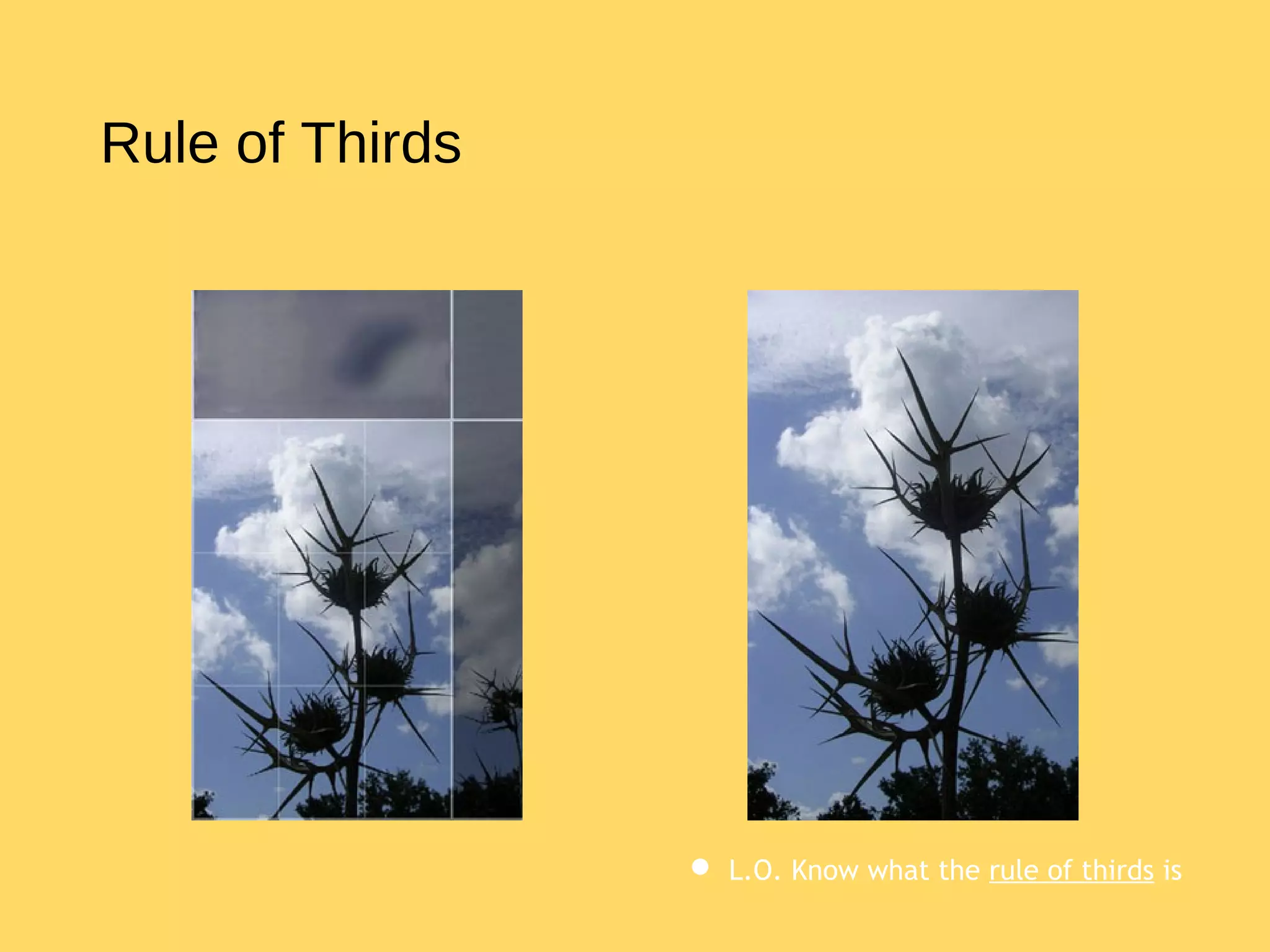 9. rule of thirds | PPT