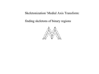 Skeletonization/ Medial Axis Transform:
finding skeletons of binary regions
 