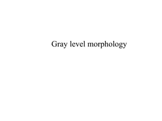 Gray level morphology
 