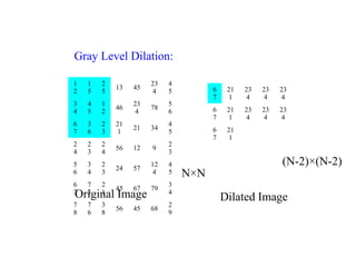 Gray Level Dilation:
Original Image
1
2
1
5
2
5
13 45
23
4
4
5
3
4
4
5
1
2
46
23
4
78
5
6
6
7
3
6
2
3
21
1
21 34
4
5
2
4
2
3
2
4
56 12 9
2
3
5
6
3
4
2
3
24 57
12
4
4
5
6
7
7
5
2
1
45 67 79
3
4
7
8
7
6
3
8
56 45 68
2
9
6
7
21
1
23
4
23
4
23
4
6
7
21
1
23
4
23
4
23
4
6
7
21
1
N×N
(N-2)×(N-2)
Dilated Image
 