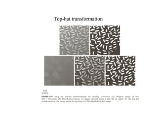 Top-hat transformation
 