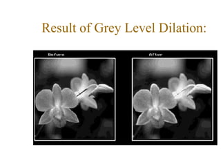 Result of Grey Level Dilation:
 