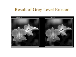 Result of Grey Level Erosion:
 