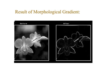 Result of Morphological Gradient:
 