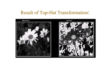 Result of Top-Hat Transformation:
 