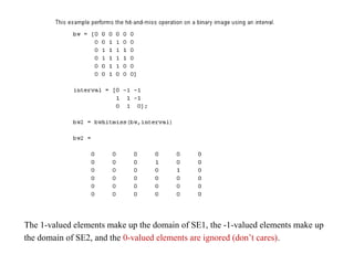 The 1-valued elements make up the domain of SE1, the -1-valued elements make up
the domain of SE2, and the 0-valued elements are ignored (don’t cares).
 