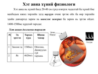 INNOMED - 2015 Ultrasound_Khambaar ultrasound_Etugen | PPT