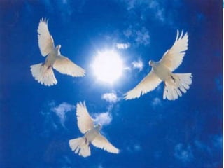 презентация 9 мая   день победы