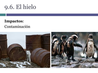 9.6. El hielo
Impactos:
Contaminación
 