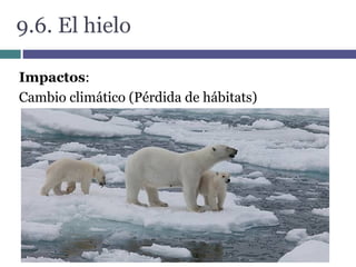 9.6. El hielo
Impactos:
Cambio climático (Pérdida de hábitats)
 