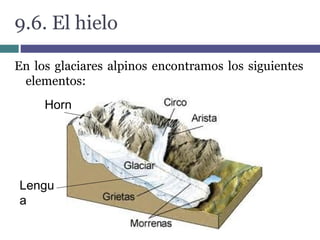 9.6. El hielo
En los glaciares alpinos encontramos los siguientes
elementos:
Horn
Lengu
a
 