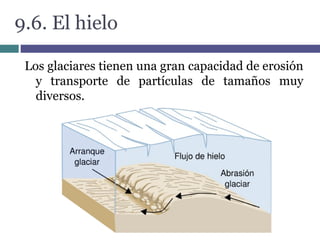 9.6. El hielo
Los glaciares tienen una gran capacidad de erosión
y transporte de partículas de tamaños muy
diversos.
 