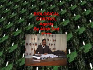 BIOLOGICAL
CONTROL
Agents
By Allah Dad
Khan
 