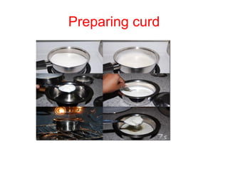 Preparing curd
 