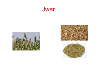 Jwar
 