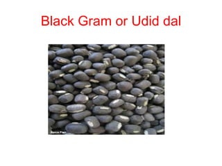 Black Gram or Udid dal
 
