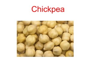 Chickpea
 