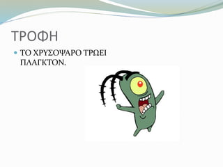 ΤΡΟΦΗ
 ΤΟ ΧΡΥΣΟΨΑΡΟ ΤΡΩΕΙ
ΠΛΑΓKΤΟΝ.
 