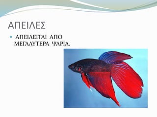 ΑΠΕΙΛΕΣ
 ΑΠΕΙΛΕΙΤΑΙ ΑΠΟ
ΜΕΓΑΛΥΤΕΡΑ ΨΑΡΙΑ.
 