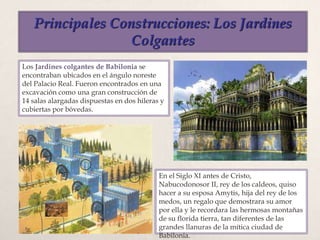 Principales Construcciones: Los Jardines
Colgantes
Los Jardines colgantes de Babilonia se
encontraban ubicados en el ángulo noreste
del Palacio Real. Fueron encontrados en una
excavación como una gran construcción de
14 salas alargadas dispuestas en dos hileras y
cubiertas por bóvedas.
En el Siglo XI antes de Cristo,
Nabucodonosor II, rey de los caldeos, quiso
hacer a su esposa Amytis, hija del rey de los
medos, un regalo que demostrara su amor
por ella y le recordara las hermosas montañas
de su florida tierra, tan diferentes de las
grandes llanuras de la mítica ciudad de
Babilonia.
 