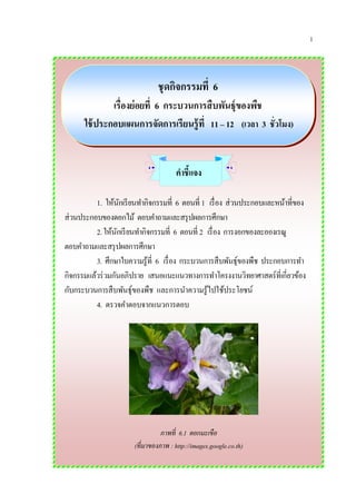 1
ชุดกิจกรรมที่ 6
เรื่องย่อยที่ 6 กระบวนการสืบพันธุ์ของพืช
ใช้ประกอบแผนการจัดการเรียนรู้ที่ 11 – 12 (เวลา 3 ชั่วโมง)
คาชี้แจง
1. ให้นักเรียนทากิจกรรมที่ 6 ตอนที่ 1 เรื่อง ส่วนประกอบและหน้าที่ของ
ส่วนประกอบของดอกไม้ ตอบคาถามและสรุปผลการศึกษา
2.ให้นักเรียนทากิจกรรมที่ 6 ตอนที่ 2 เรื่อง การงอกของละอองเรณู
ตอบคาถามและสรุปผลการศึกษา
3. ศึกษาใบความรู้ที่ 6 เรื่อง กระบวนการสืบพันธุ์ของพืช ประกอบการทา
กิจกรรมแล้วร่วมกันอภิปราย เสนอแนะแนวทางการทาโครงงานวิทยาศาสตร์ที่เกี่ยวข้อง
กับกระบวนการสืบพันธุ์ของพืช และการนาความรู้ไปใช้ประโยชน์
4. ตรวจคาตอบจากแนวการตอบ
ภาพที่ 6.1 ดอกมะเขือ
(ที่มาของภาพ : http://images.google.co.th)
 