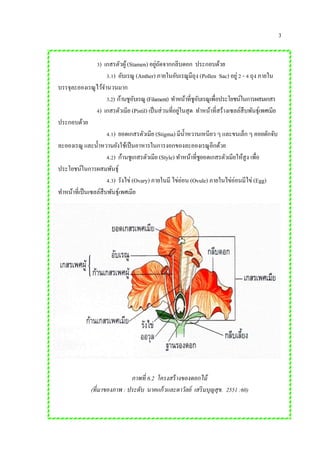 3
3) เกสรตัวผู้(Stamen) อยู่ถัดจากกลีบดอก ประกอบด้วย
3.1) อับเรณู (Anther) ภายในอับเรณูมีถุง (Pollen Sac) อยู่ 2 - 4 ถุง ภายใน
บรรจุละอองเรณูไว้จานวนมาก
3.2) ก้านชูอับเรณู (Filament) ทาหน้าที่ชูอับเรณูเพื่อประโยชน์ในการผสมเกสร
4) เกสรตัวเมีย (Pistil) เป็นส่วนที่อยู่ในสุด ทาหน้าที่สร้างเซลล์สืบพันธุ์เพศเมีย
ประกอบด้วย
4.1) ยอดเกสรตัวเมีย (Stigma) มีน้าหวานเหนียว ๆ และขนเล็ก ๆ คอยดักจับ
ละอองเรณู และน้าหวานยังใช้เป็นอาหารในการงอกของละอองเรณูอีกด้วย
4.2) ก้านชูเกสรตัวเมีย (Style) ทาหน้าที่ชูยอดเกสรตัวเมียให้สูง เพื่อ
ประโยชน์ในการผสมพันธุ์
4.3) รังไข่ (Ovary) ภายในมี ไข่อ่อน (Ovule) ภายในไข่อ่อนมีไข่ (Egg)
ทาหน้าที่เป็นเซลล์สืบพันธุ์เพศเมีย
ภาพที่ 6.2 โครงสร้างของดอกไม้
(ที่มาของภาพ : ประดับ นาคแก้วและดาวัลย์ เสริมบุญสุข. 2551 :60)
 
