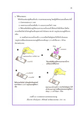 28
6. วิธีศึกษาทดลอง
ให้นักเรียนแต่ละกลุ่มศึกษาเกี่ยวกับ การงอกของละอองเรณู โดยปฏิบัติกิจกรรมตามขั้นตอนดังนี้
1) นาดอกแพงพวย มา 1 ดอก
2) หยดสารละลายน้าตาลเข้มข้น 5 % ลงบนกระจกสไลด์ 2 หยด
3) ใช้ปลายเข็มเขี่ยอับเรณูให้ตกบนสารละลายน้าตาลแล้วใช้แท่งแก้วเขี่ยให้แตก ปิดด้วย
กระจกปิดสไลด์ แล้วส่องดูด้วยกล้องจุลทรรศน์ กาลังขยาย 100 เท่า วาดรูปละอองเรณูที่เห็นจาก
กล้อง
4) หยดด้วยสารละลายน้าตาลข้าง ๆ กระจกปิดสไลด์อยู่เสมอไม่ให้แห้ง สังเกตและ
วาดรูปการเปลี่ยนแปลงของละอองเรณูที่เห็นจากกล้องทุก ๆ 15 นาที เป็นเวลา 1 ชั่วโมง
ดังภาพประกอบ
ภาพที่ 6.44 การทดลองการงอกของละอองเรณู
(ที่มาภาพ ปรับปรุงจาก : ศรีลักษณ์ ผลวัฒนะและคณะ. 2545 : 83)
 