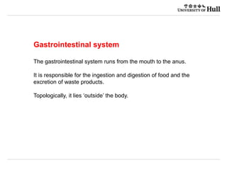 Gastrointestinal system | PPT